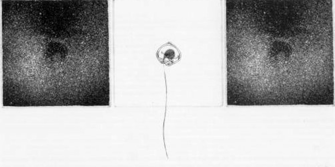 "Il sapore delle cose belle", Jo&atilde;o Pedro Cochofel, exposi&ccedil;&atilde;o "O Tortellini Divino"