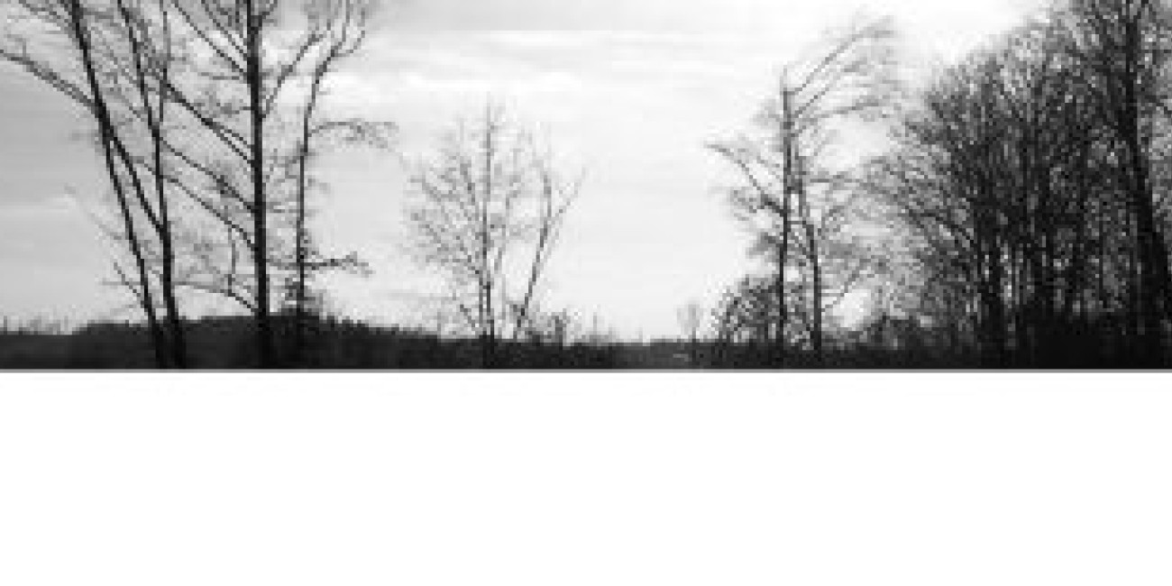 Exposi&ccedil;&atilde;o "Statics" Jorge de Sousa Noronha