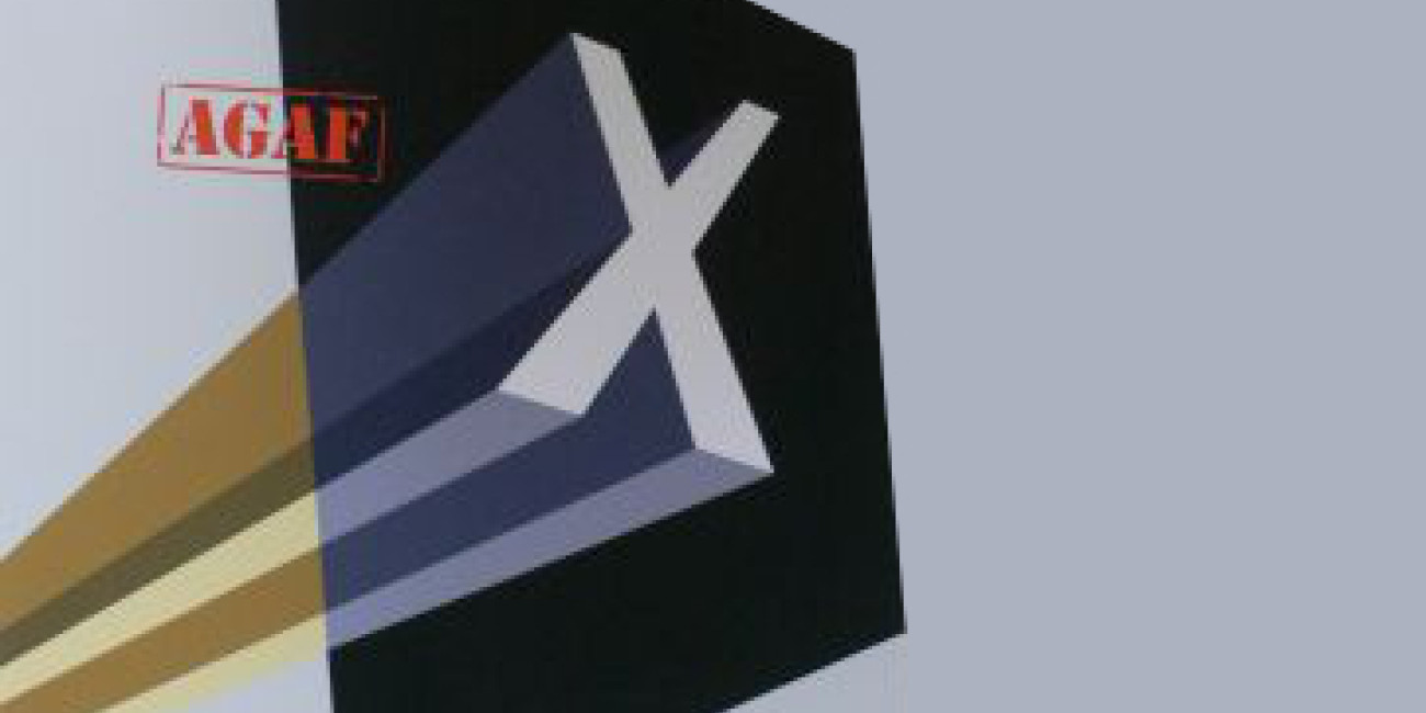 10 anos Associa&ccedil;&atilde;o de Gravura &Aacute;gua-Forte