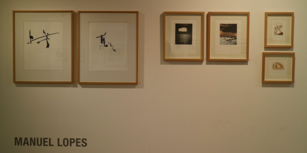 Exposi&ccedil;&atilde;o &Aacute;quas