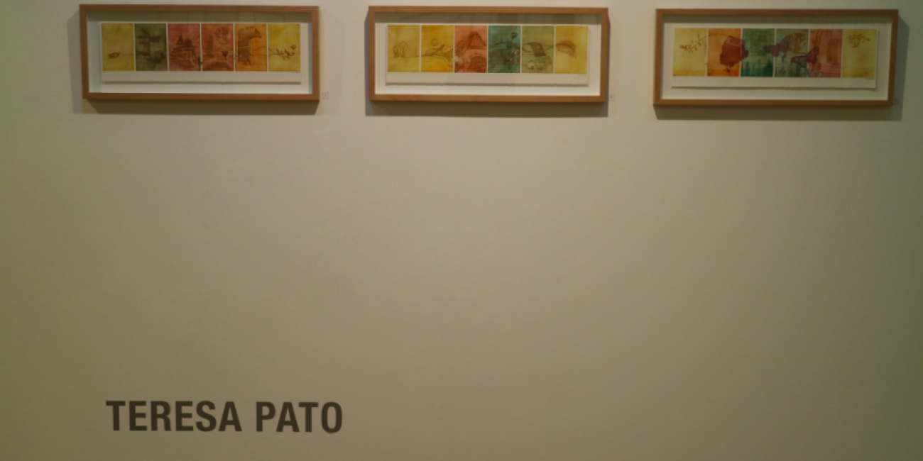 Exposi&ccedil;&atilde;o &Aacute;quas