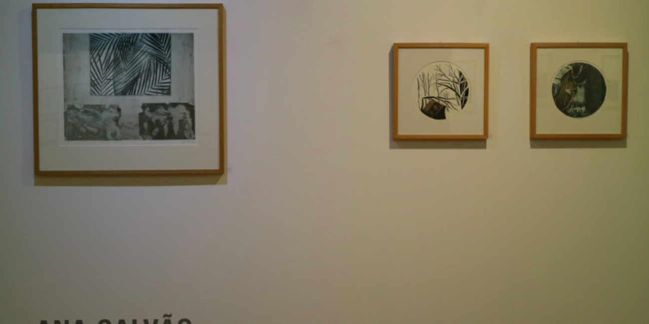 Exposi&ccedil;&atilde;o &Aacute;quas