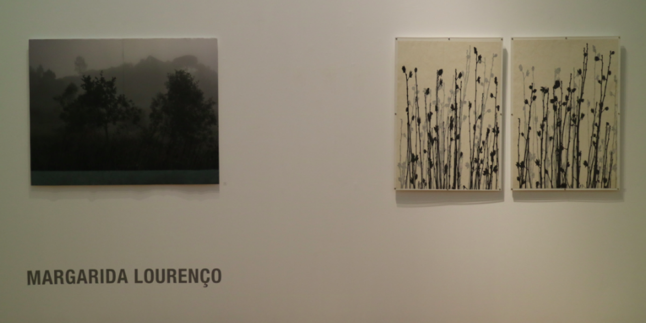 Exposi&ccedil;&atilde;o &Aacute;quas