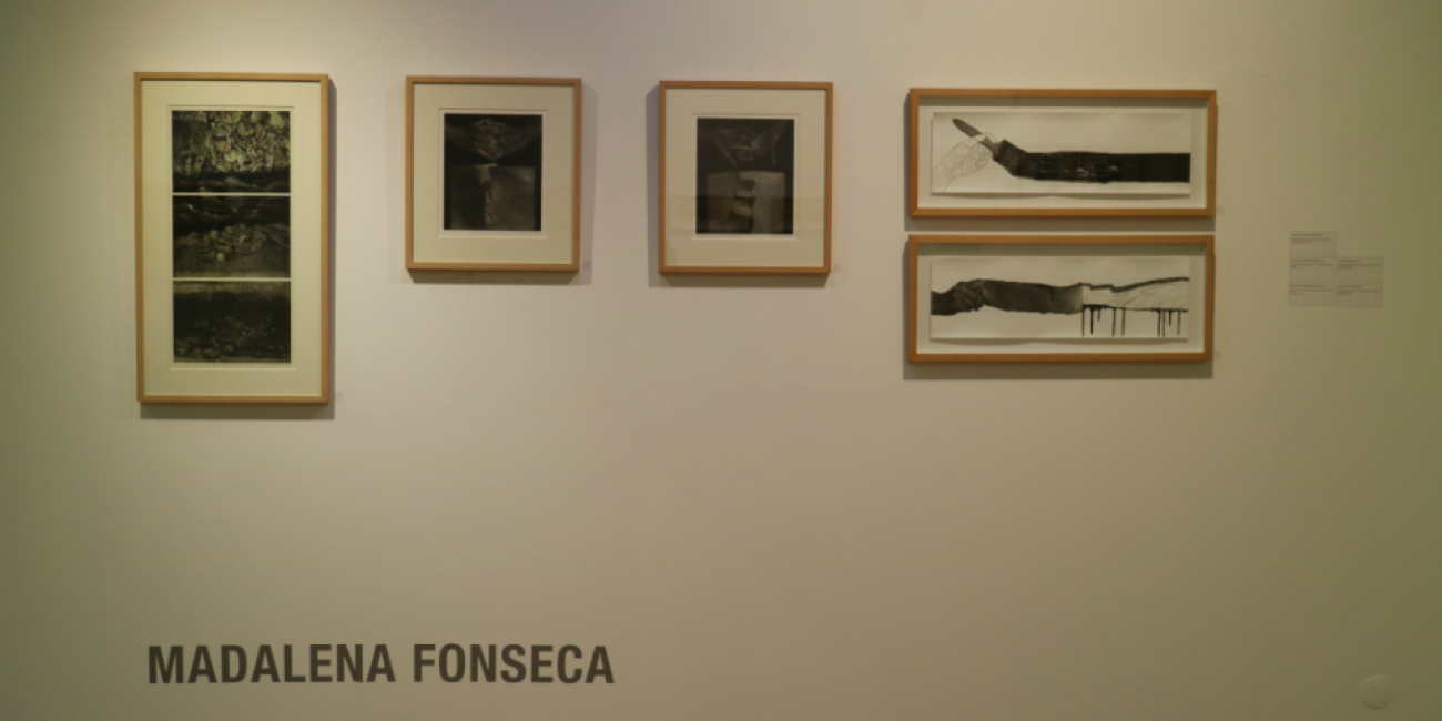 Exposi&ccedil;&atilde;o &Aacute;quas