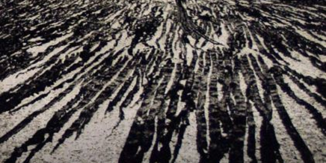 Exposi&ccedil;&atilde;o "photogravures", Peter Miller