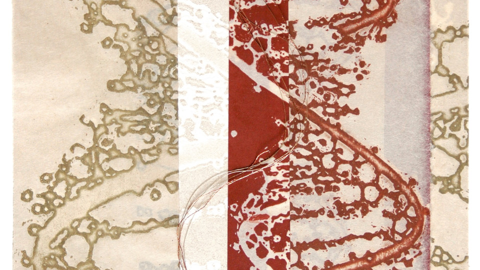 Dynamic Order &middot; Água tinta de açúcar, chine-collé, costurado. 30x21cm &middot; 2005