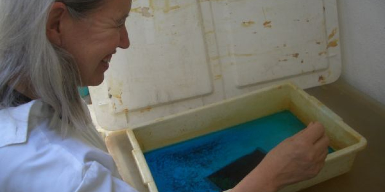 Workshop Teresa Pato, F&aacute;tima Ferreira e Margarida Louren&ccedil;o