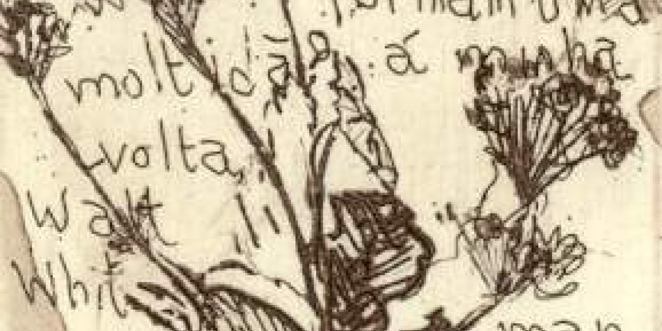 Cl&aacute;udio Garcia, exposi&ccedil;&atilde;o "Imensid&atilde;o &Iacute;ntima"