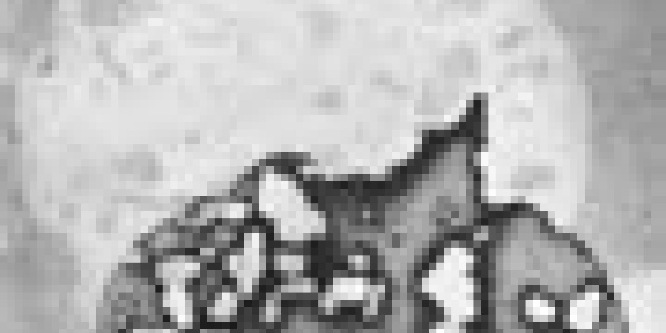 Botelho de Sousa na exposi&ccedil;&atilde;o colectiva