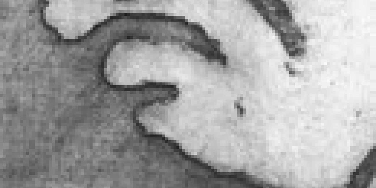 Gilberto Guerreiro na exposi&ccedil;&atilde;o colectiva