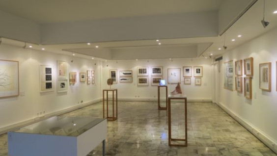 Exposi&ccedil;&atilde;o Colectiva "15 Anos da AGAF", Seixal
