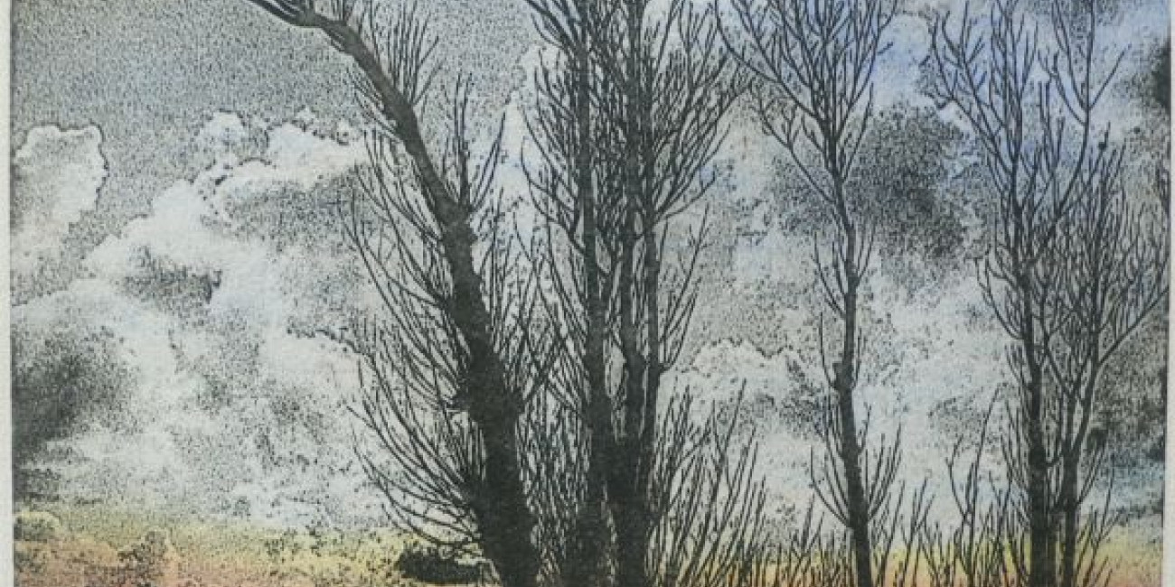 Margarida Louren&ccedil;o, Projecto de Interc&acirc;mbio entre Associa&ccedil;&otilde;es