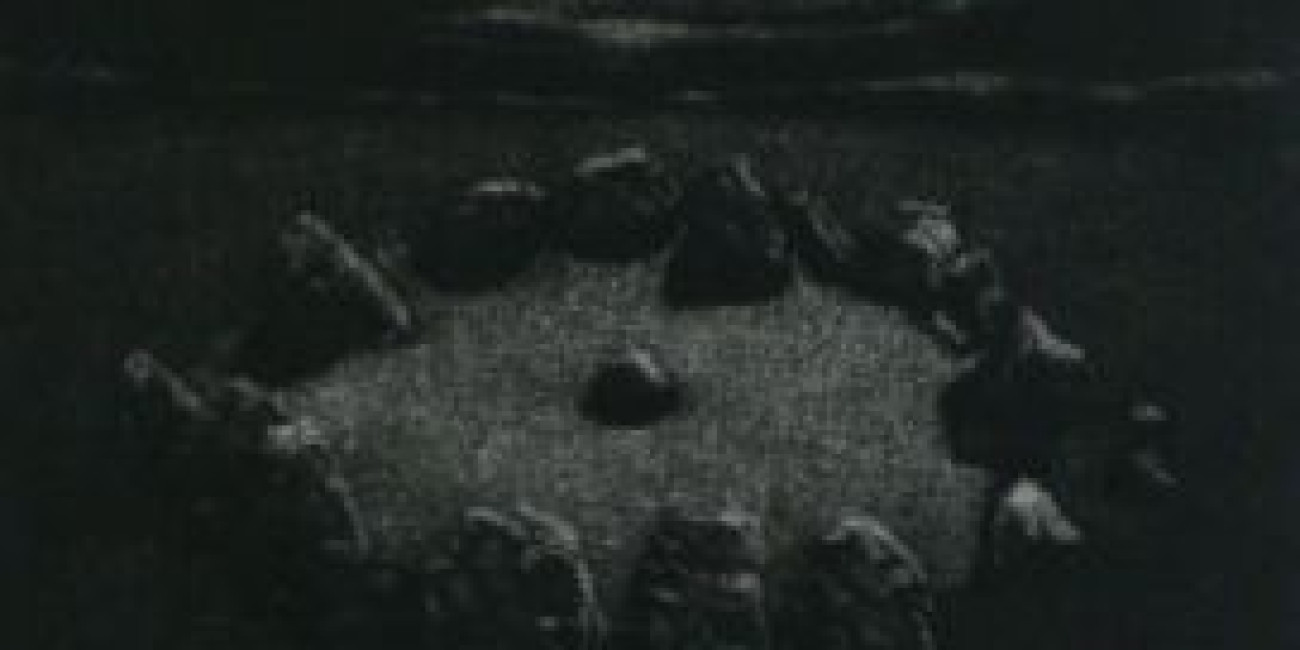 "&Agrave; procura da Ordem" Madalena Fonseca, Projecto de Interc&acirc;mbio entre Associa&ccedil;&otilde;es