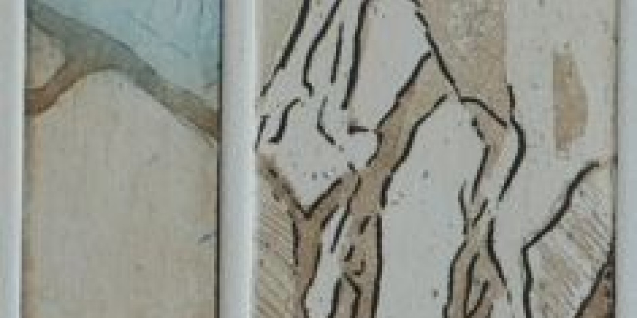 J&uacute;lia Pint&atilde;o, Projecto de Interc&acirc;mbio entre Associa&ccedil;&otilde;es