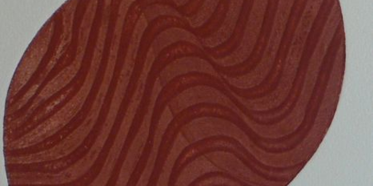 "Renascer" Mami Higuchi, Projecto de Interc&acirc;mbio entre Associa&ccedil;&otilde;es