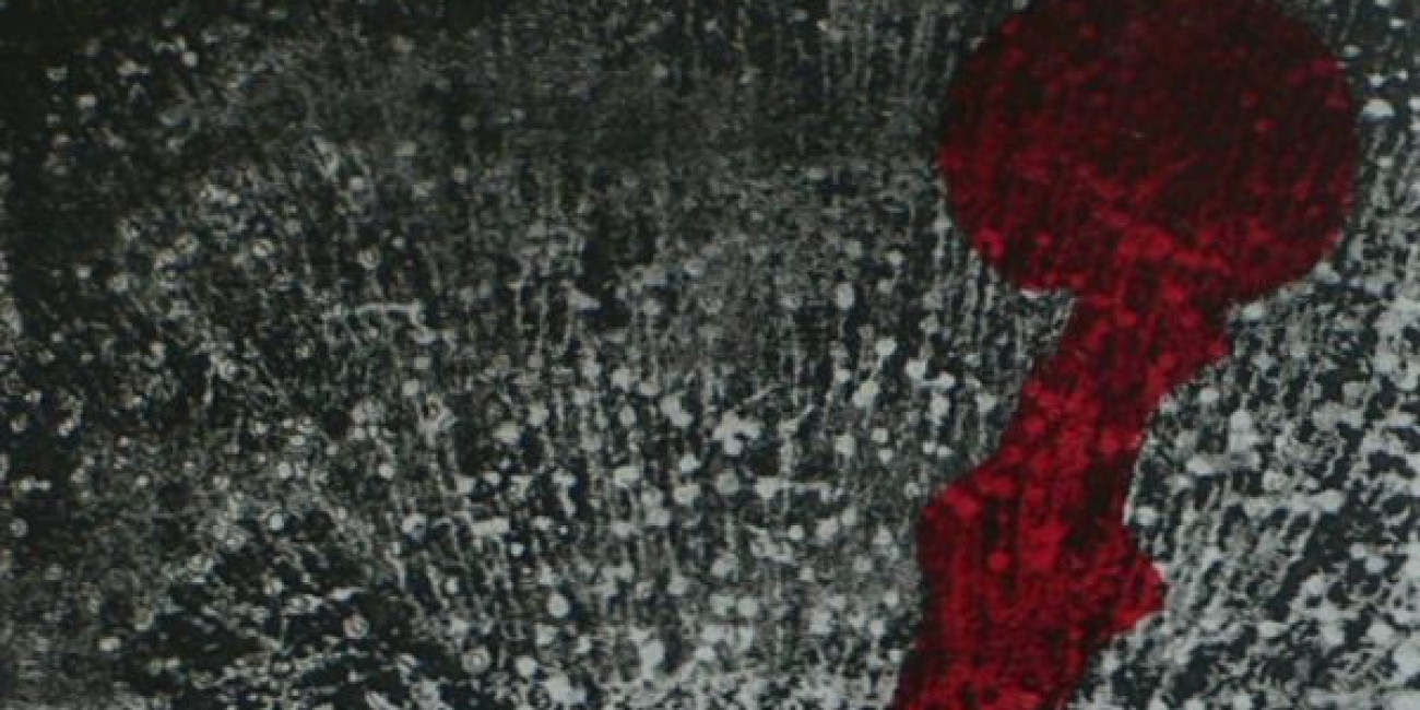 "Flor de Ti" Carolina Figueiredo, Projecto de Interc&acirc;mbio entre Associa&ccedil;&otilde;es