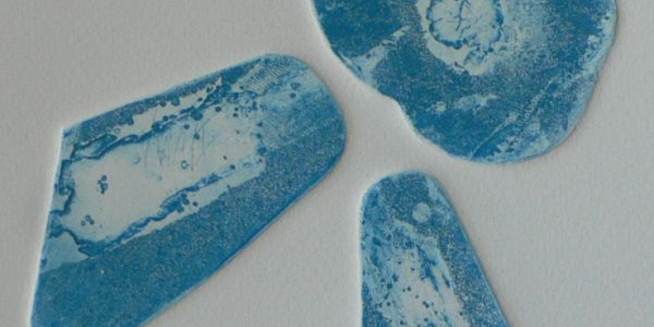 C&eacute;u Costa, Projecto de Interc&acirc;mbio entre Associa&ccedil;&otilde;es