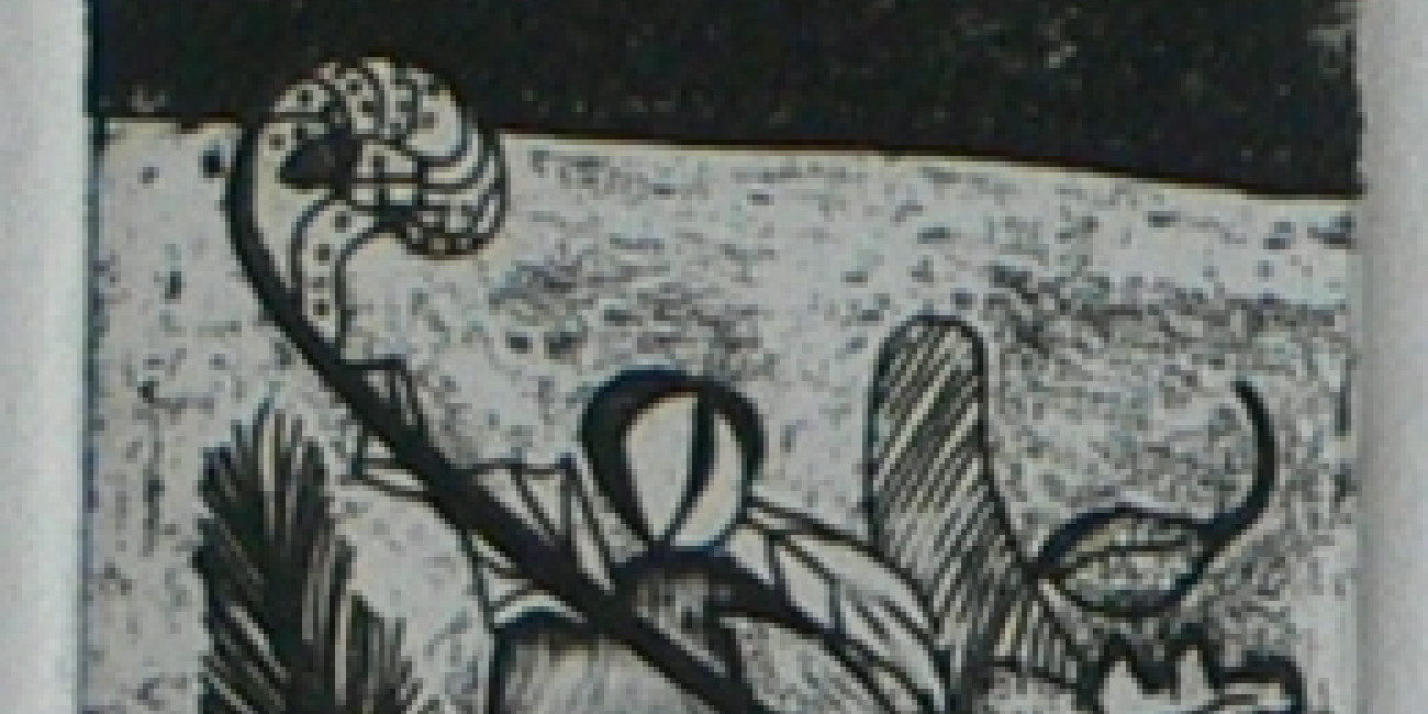 Teresa Pedroso, Projecto de Interc&acirc;mbio entre Associa&ccedil;&otilde;es