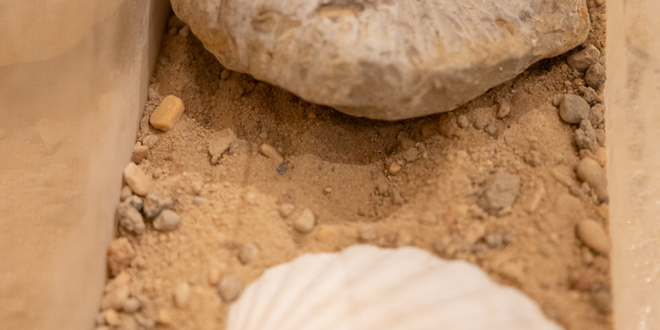 Da Matriz &agrave; Impress&atilde;o