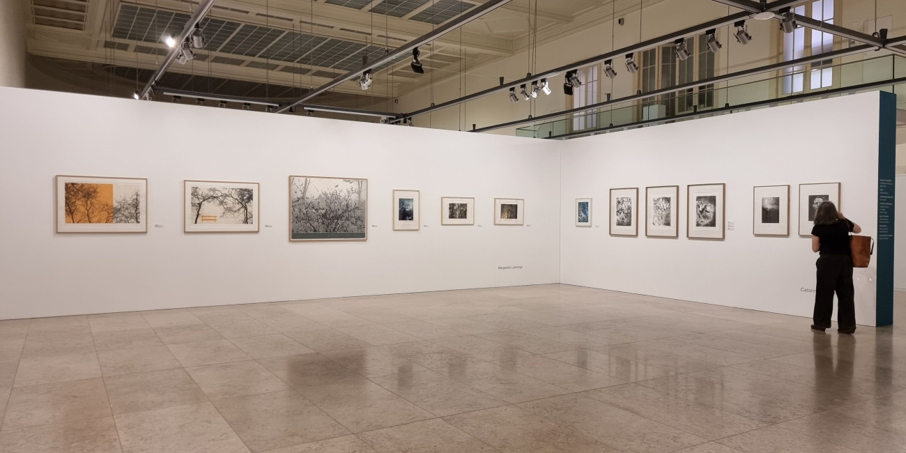 487a3fba8a12149f280484928dde1affe7281a71