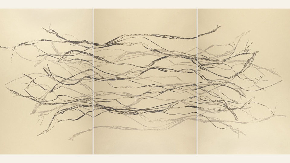 F&aacute;tima Ferreira