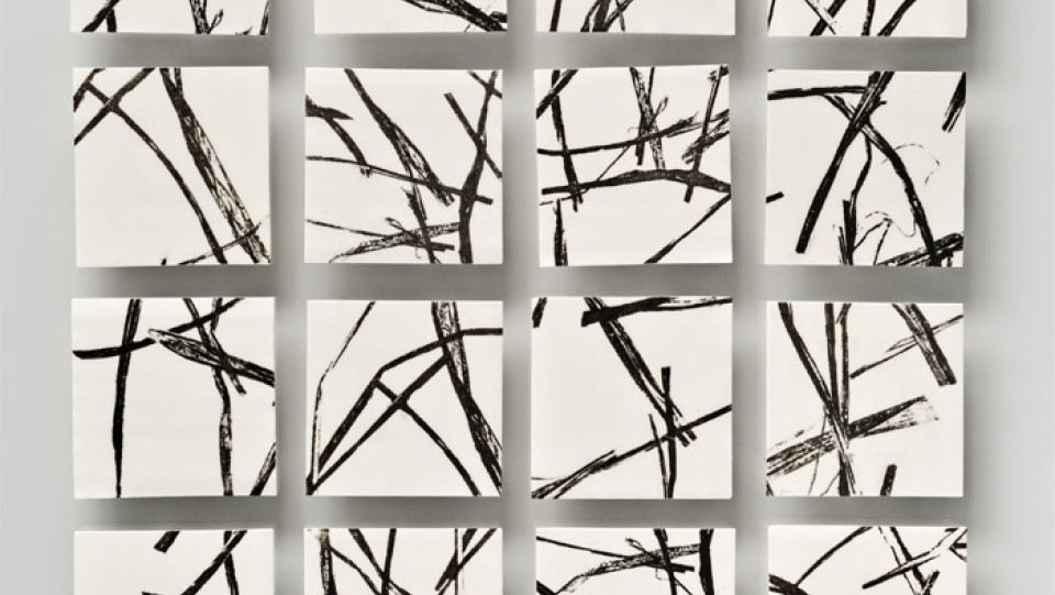 F&aacute;tima Ferreira