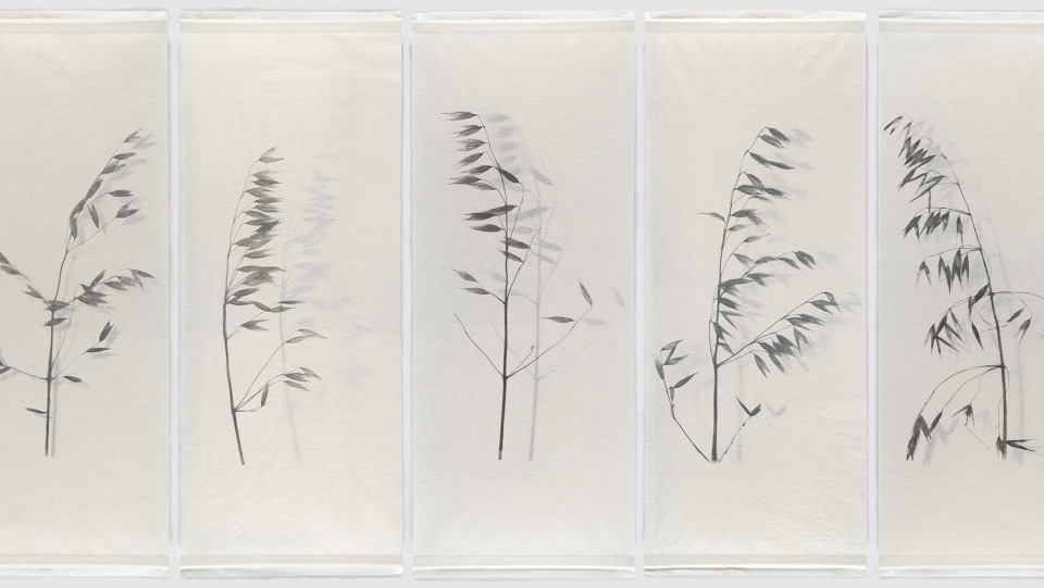 F&aacute;tima Ferreira