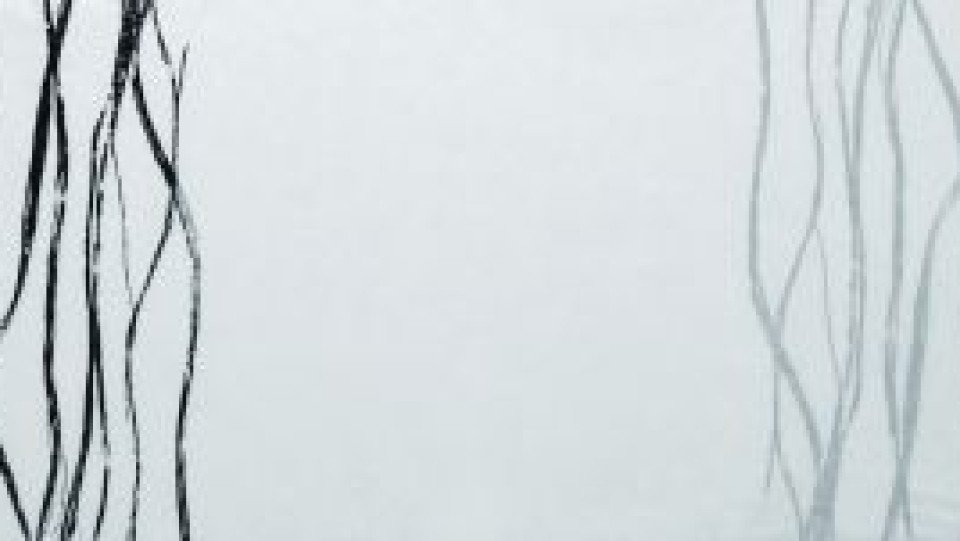 Perman&ecirc;ncias Fukushima I &middot; água-forte, água tinta &middot; 30,0 x 120,0cm