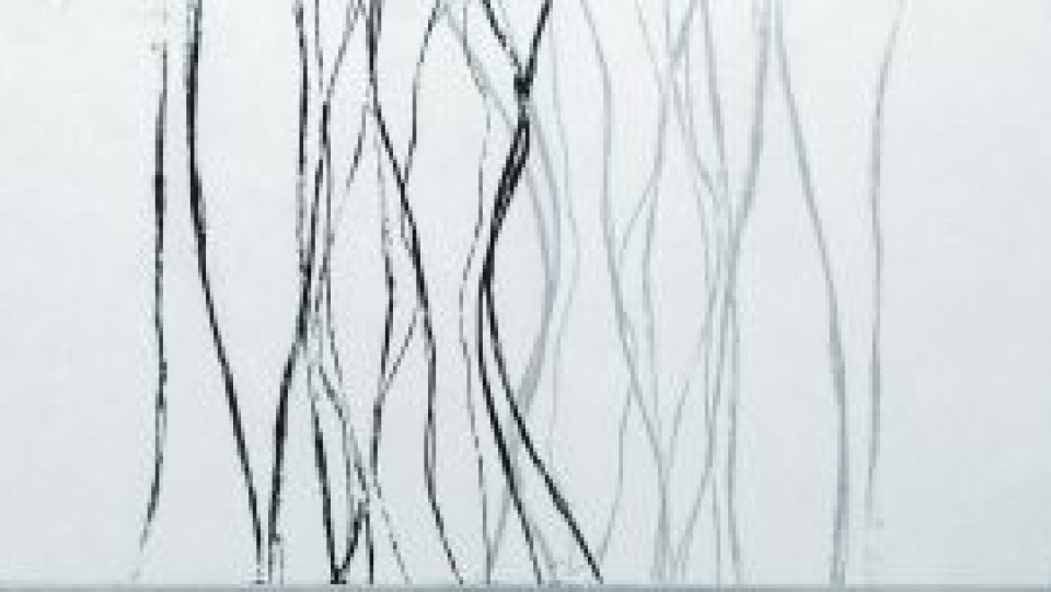 Perman&ecirc;ncias Fukushima II &middot; água-forte, água tinta &middot; 30,0 x 120,0cm