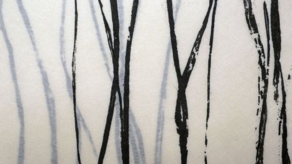 Perman&ecirc;ncias Fukushima I &middot; (pormenor)