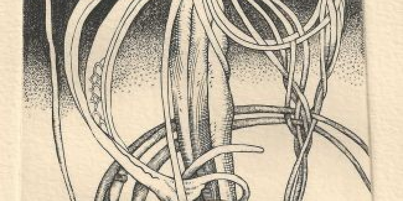 Exposi&ccedil;&atilde;o Francis Haley