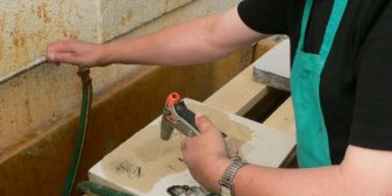 Workshop Jorge de Sousa Noronha