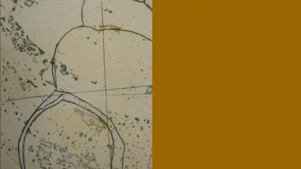 Manuel Lopes &middot; 2018