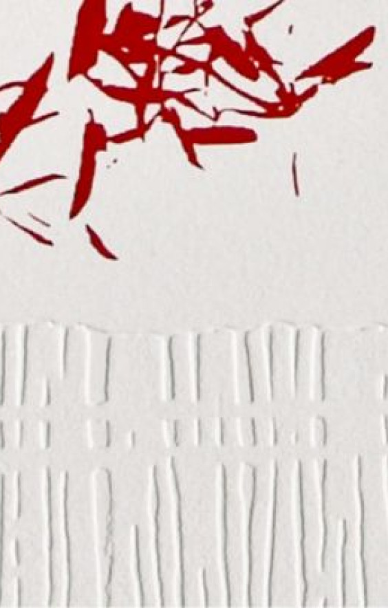 Fragilidade (Pormenor) &middot; Gravura em seco, Água-forte, Água tinta e Serigrafia &middot; 2009 &middot; 76,0X53,5cm