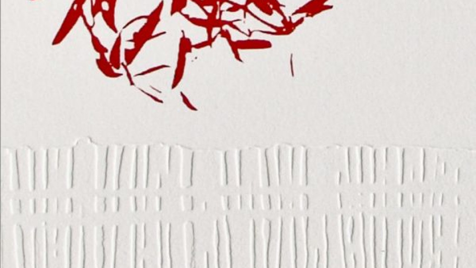 Fragilidade (Pormenor) &middot; Gravura em seco, Água-forte, Água tinta e Serigrafia &middot; 2009 &middot; 76,0X53,5cm