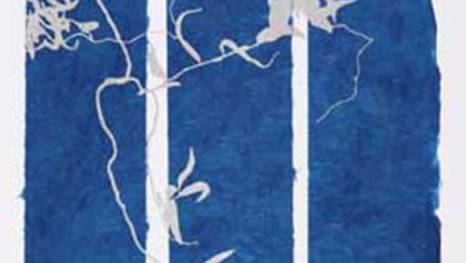 Viagem 5 &middot; Serigrafia sobre papel do Nepal &middot; 2009 &middot; 50X40cm