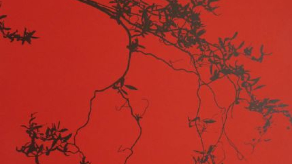 Fr&aacute;gil &middot; Gravura em seco, Água-forte, Água tinta e Serigrafia &middot; 100X70cm