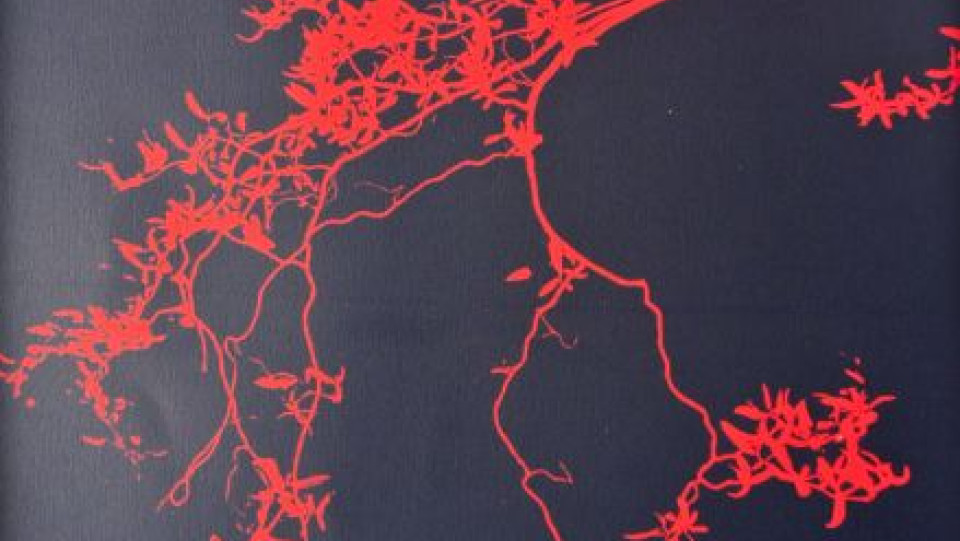 Muito Fr&aacute;gil &middot; Gravura em seco, Água-forte, Água tinta e Serigrafia &middot; 100X70cm