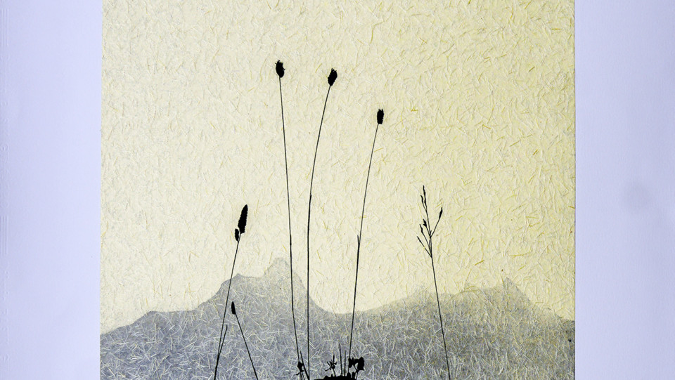 Amanhecer &middot; 2026