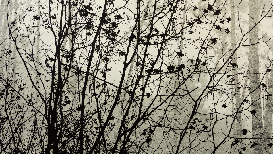 Madrugada &middot; 2026