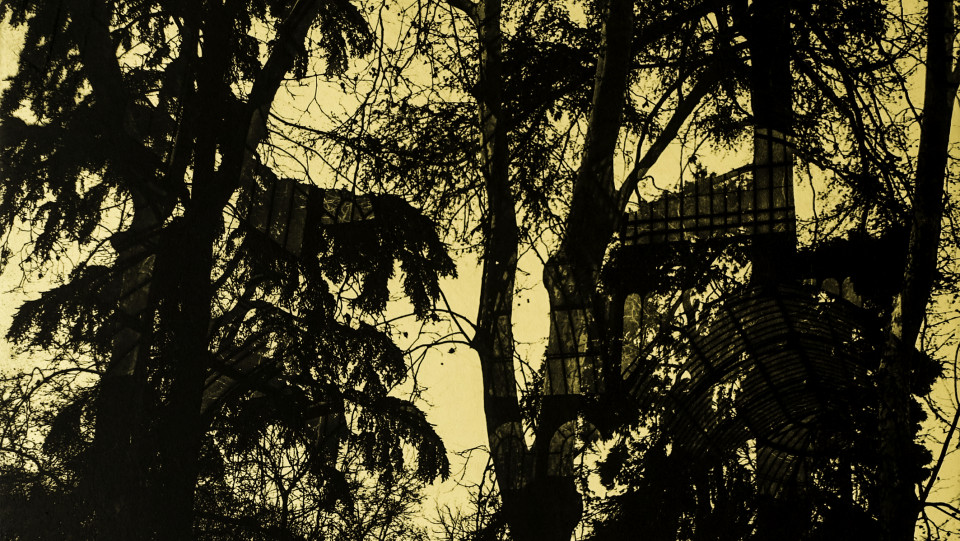 No arvoredo &middot; 2026