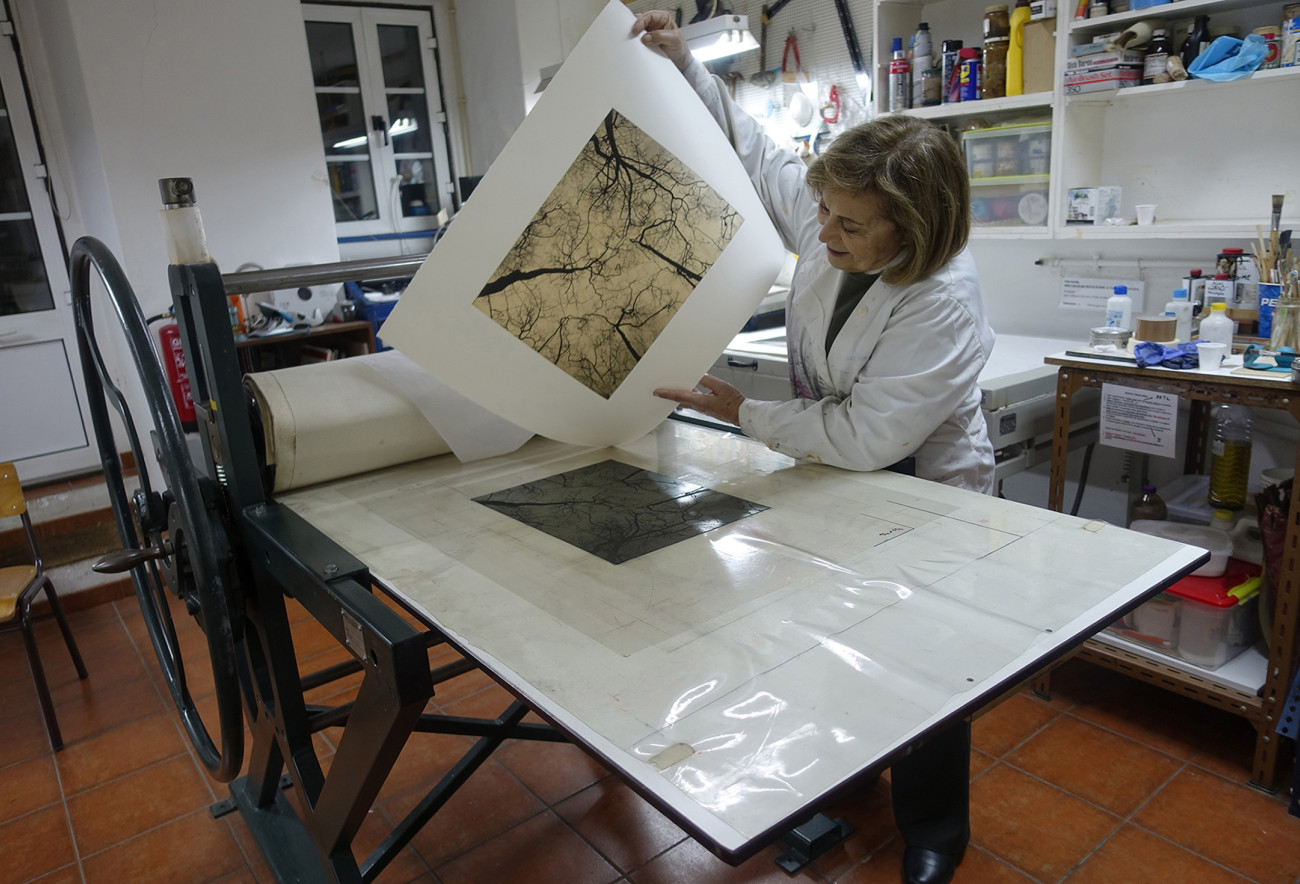 Margarida Louren&ccedil;o