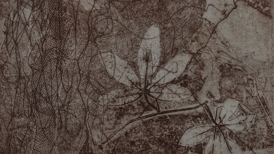 Percepes &middot; 2026