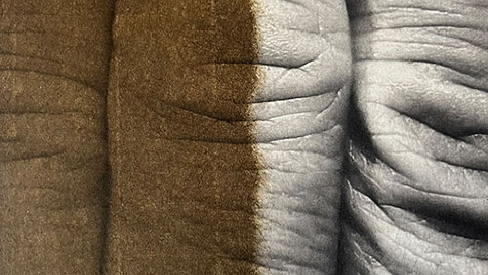 "Sem t&iacute;tulo" &middot; Fotogravura em fotopolímero e Chine-collé