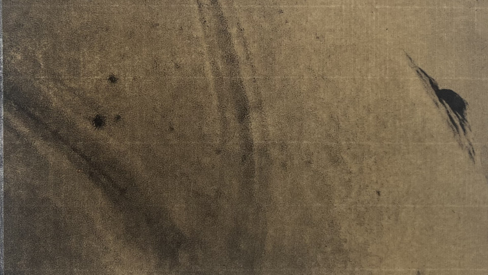 marcas II &middot; Fotogravura em fotopolímero e Chine-collé &middot; 2024