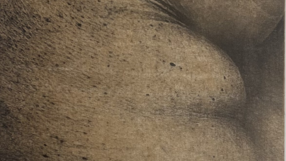 marcas I &middot; Fotogravura em fotopolímero e Chine-collé &middot; 2024