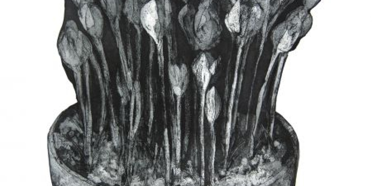 Exposi&ccedil;&atilde;o Maria Sassetti "Succulent Hortis"