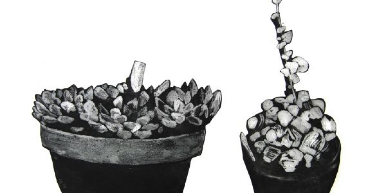 Exposi&ccedil;&atilde;o Maria Sassetti "Succulent Hortis"