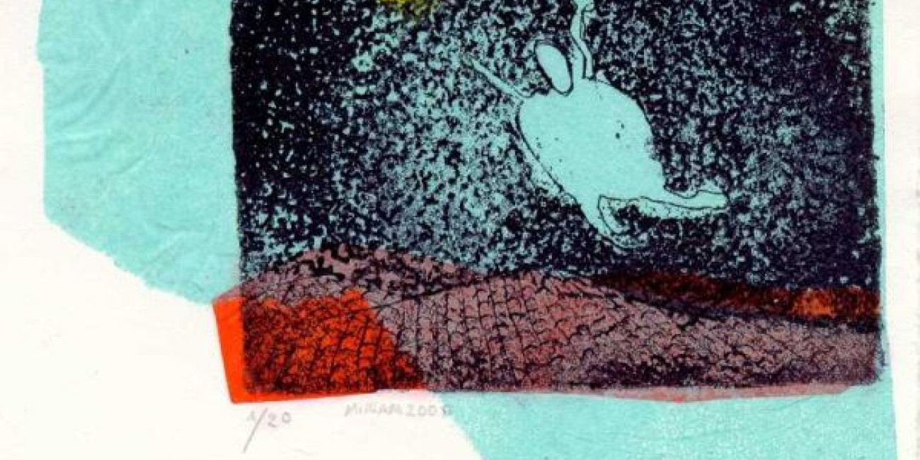 Exposi&ccedil;&atilde;o "Na Mesici/ Na Lua", M&iacute;riam Faria