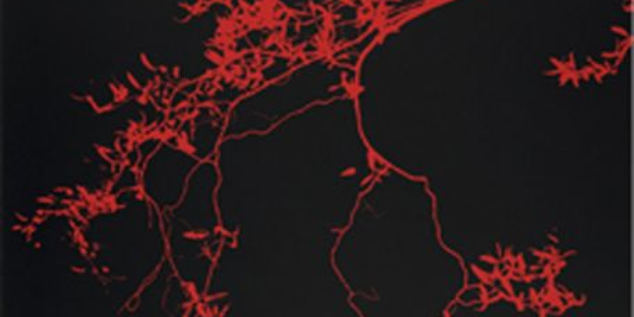 Margarida Louren&ccedil;o, Exposi&ccedil;&atilde;o Colectiva "Encontros com o Oriente", Lisboa